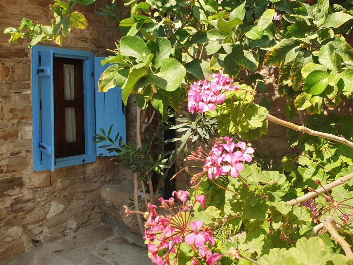 Vasilopoulos House ตอคนี ภายนอก รูปภาพ
