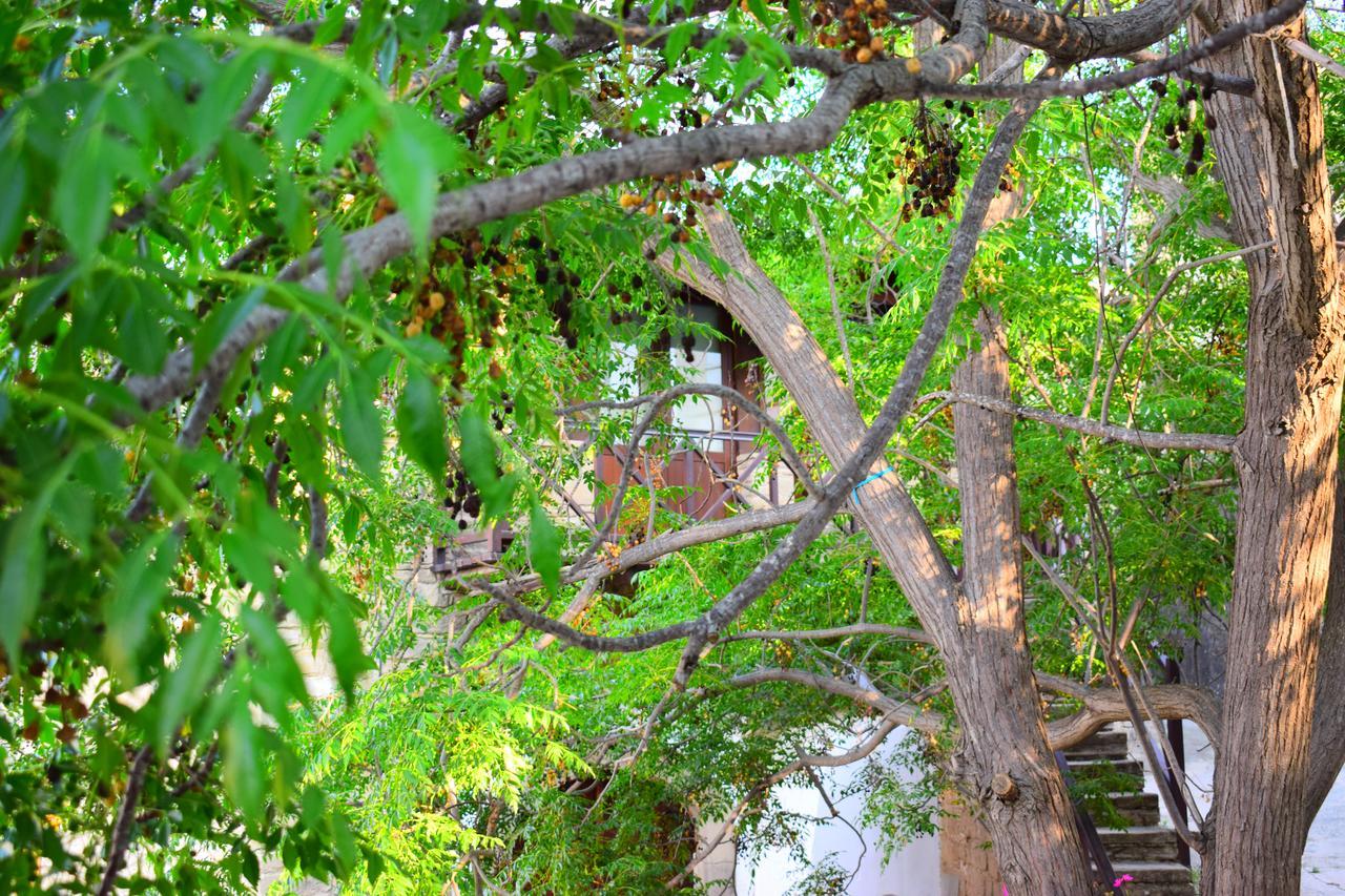 Vasilopoulos House ตอคนี ภายนอก รูปภาพ